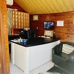 Cuba シダ