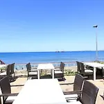 Cuba シダ