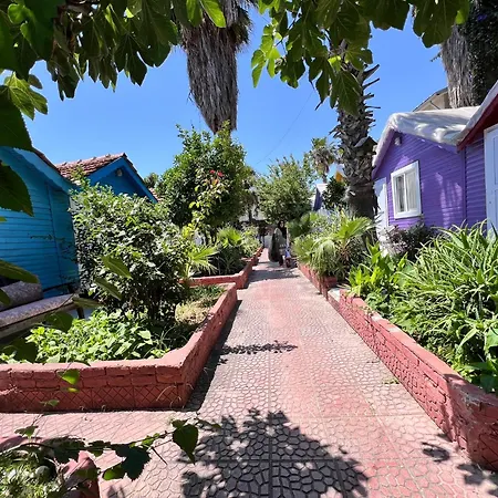 Cuba 3*